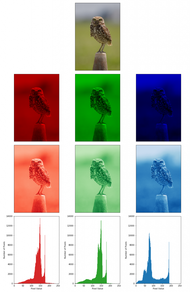 Image Color Channel Histogram